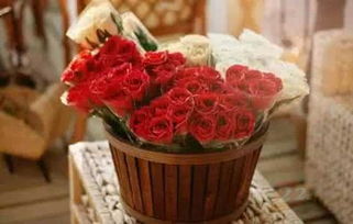 花點(diǎn)時(shí)間 上線兩年用戶(hù)破500萬(wàn)，B輪融資引領(lǐng)禮品花卉銷(xiāo)售新潮流